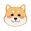 lavi503的头像